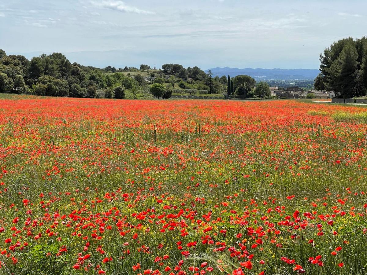 Fleurs De Provence Διαμέρισμα LʼIsle-sur-la-Sorgue Εξωτερικό φωτογραφία