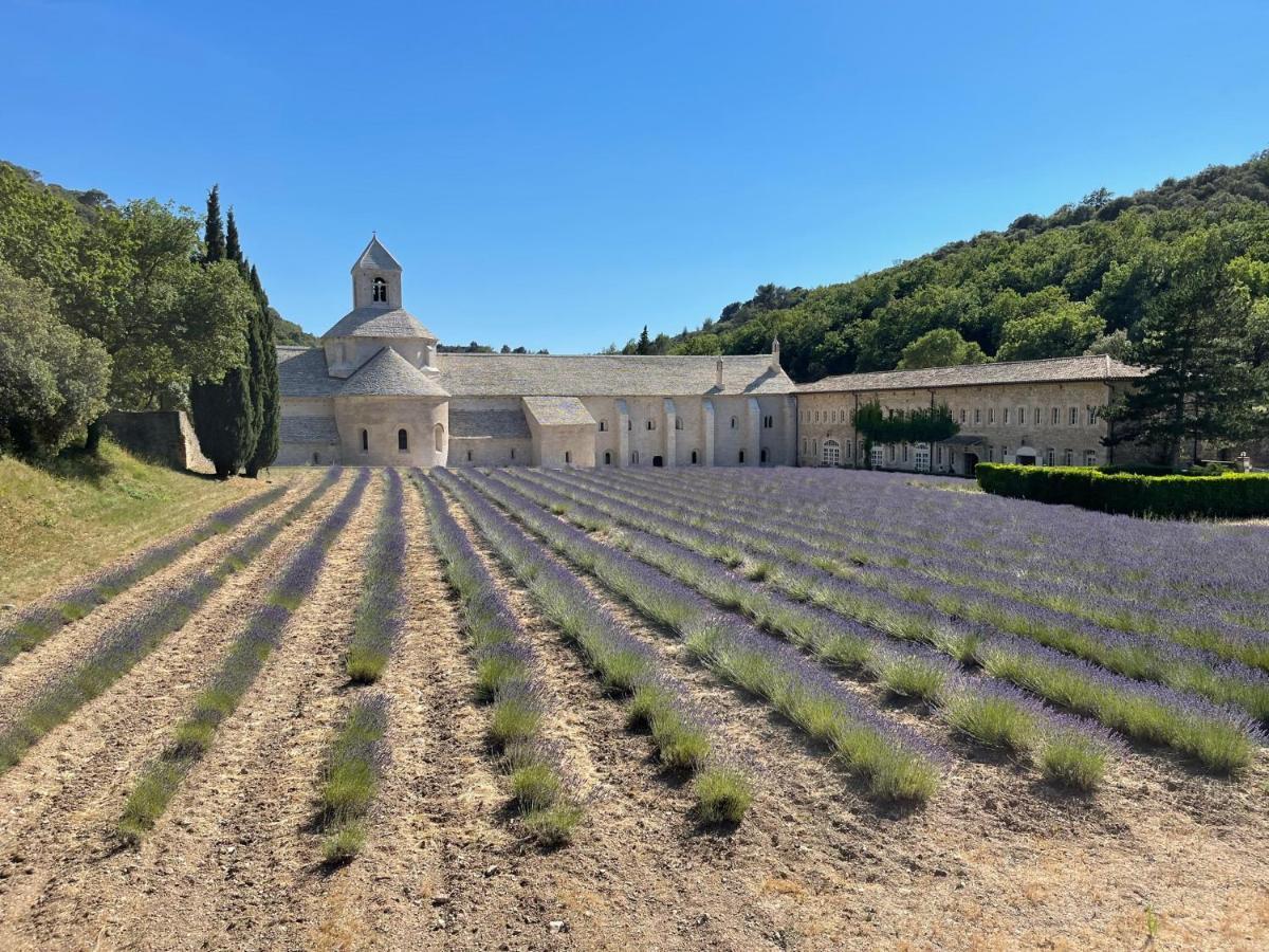Fleurs De Provence Διαμέρισμα LʼIsle-sur-la-Sorgue Εξωτερικό φωτογραφία