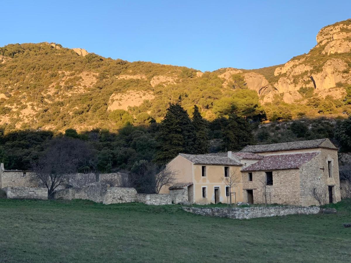 Fleurs De Provence Διαμέρισμα LʼIsle-sur-la-Sorgue Εξωτερικό φωτογραφία